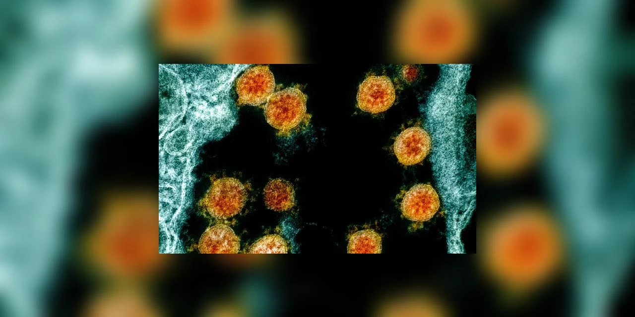 Rio Grande do Sul confirma caso de infecção pela variante Ômicron