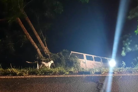 Condutor perde controle de direção e atinge árvore em Guaragi