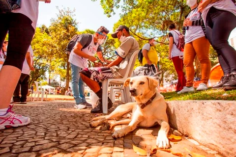 Projeto Médicos de Rua leva atendimentos sociais e de saúde a pessoas em situação de rua