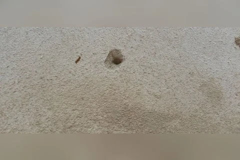 Jovem aciona a Polícia Militar após ter casa baleada