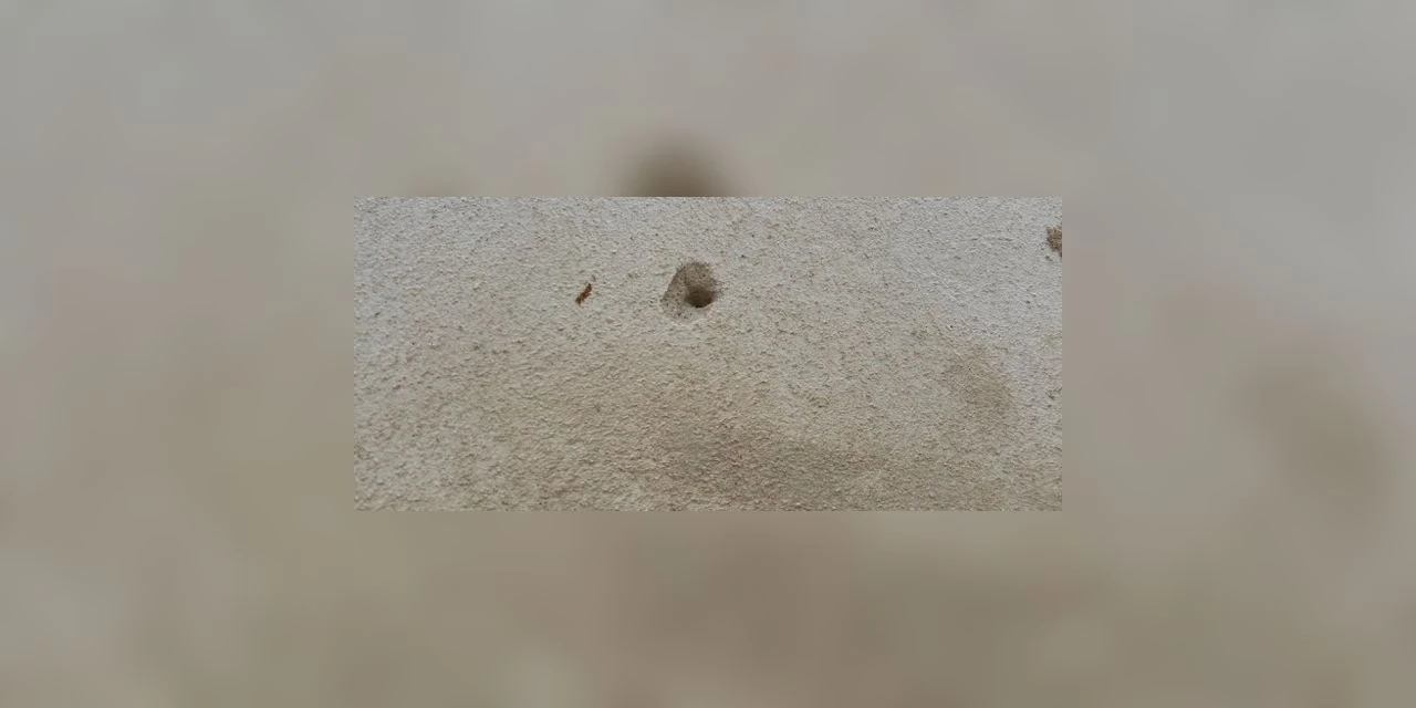 Jovem aciona a Polícia Militar após ter casa baleada