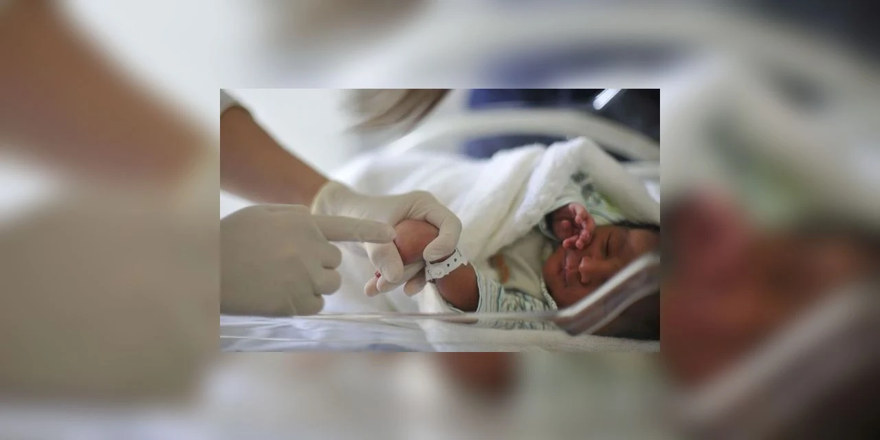 Miguel e Helena lideram ranking de nomes mais comuns no Brasil em 2021