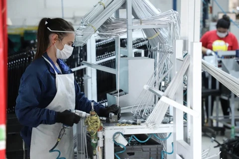 Ponta Grossa aumenta a quantidade de colocações no mercado de trabalho em 10%, neste ano