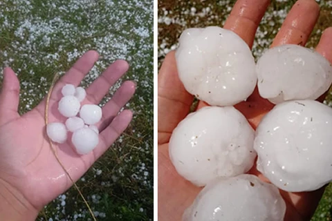 Chuva de granizo deixa estragos em área rural de Imbituva e Ipiranga