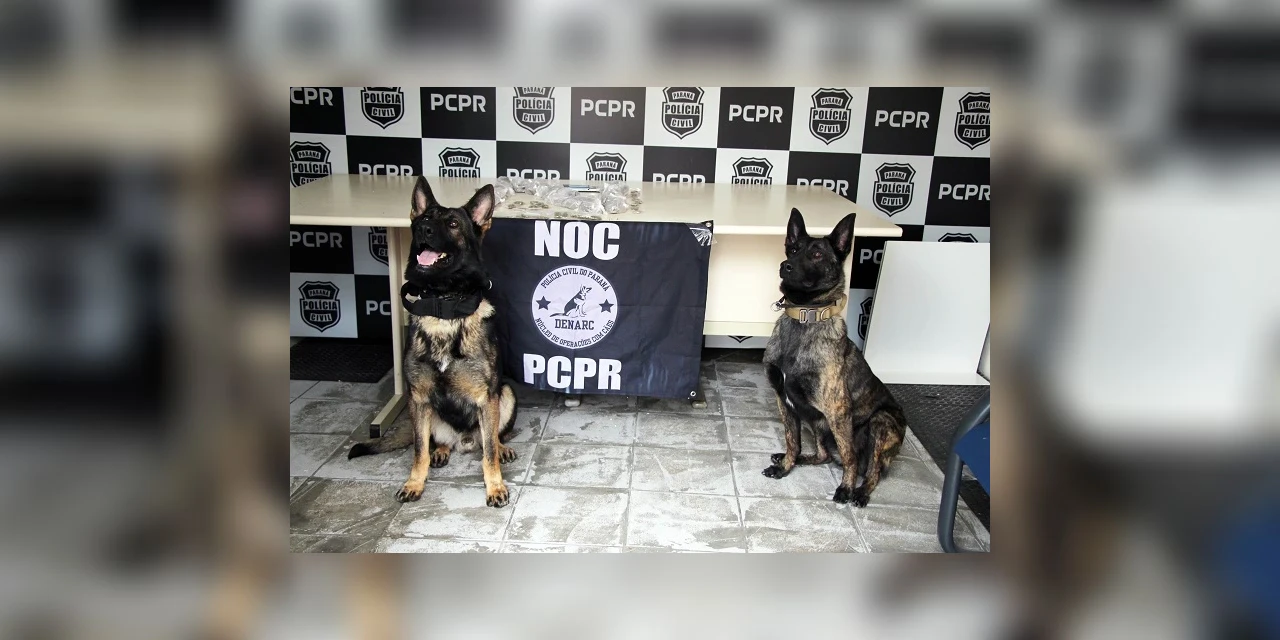 Ações com cães da Polícia Civil apreenderam 7,8 toneladas de drogas em 2021