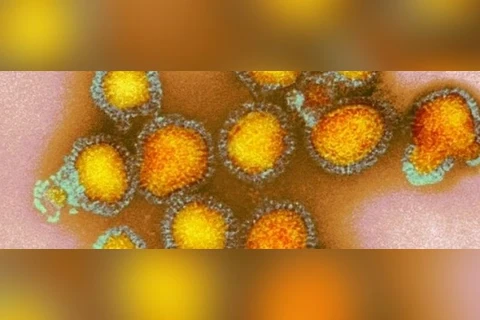 Mais 134 casos e sete óbitos pela H3N2 são confirmados no Paraná