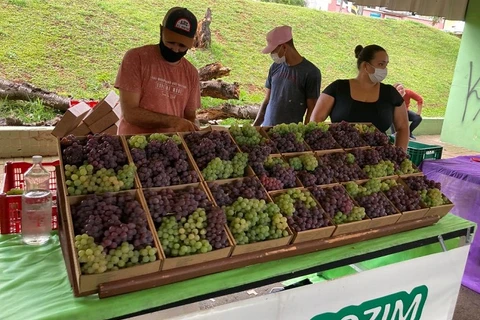 FESUVA passa a funcionar de domingo a domingo