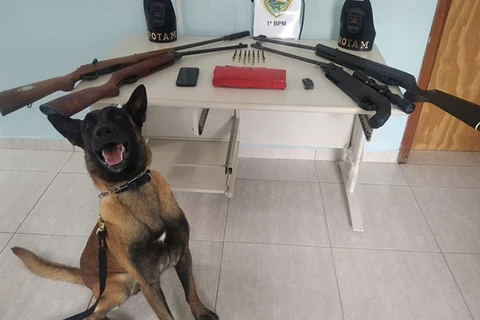 Operação “Piratas da Estrada” resulta em apreensões na região dos Campos Gerais.