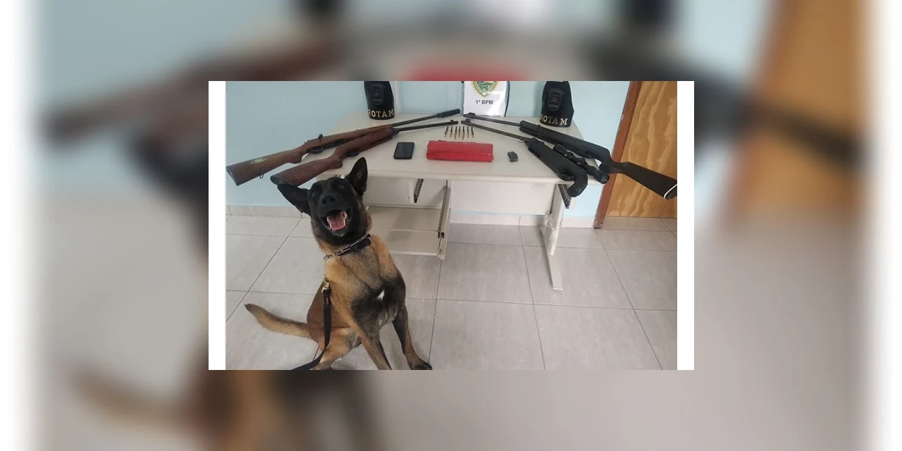 Operação “Piratas da Estrada” resulta em apreensões na região dos Campos Gerais.