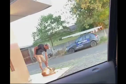 VÍDEO - Homem é preso após ser flagrado espancando cachorro em Ponta Grossa