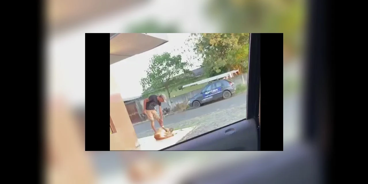 VÍDEO - Homem é preso após ser flagrado espancando cachorro em Ponta Grossa