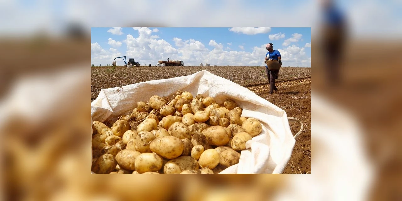 Batata fica mais cara e cesta básica passa a custar R$752,73 em fevereiro, aponta pesquisa