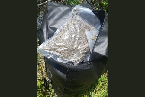 PRF apreende quase 100 Kg de “Skunk”, na BR-373, em Imbituva