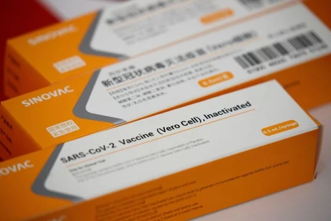 Paraná recebe mais 169.200 vacinas pediátricas CoronaVac