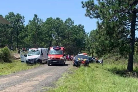 Menina, de 12 anos morre após ser atingida por galho de árvore, em Palmeira