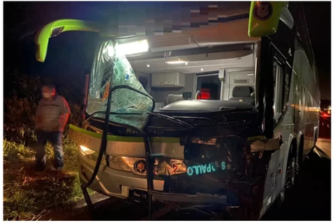 Cavalo atravessa rodovia e causa acidente com ônibus, no Paraná