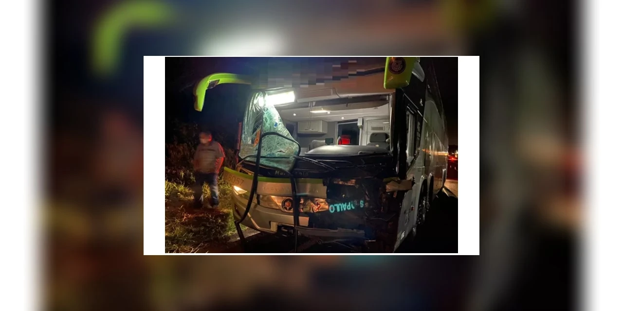 Cavalo atravessa rodovia e causa acidente com ônibus, no Paraná