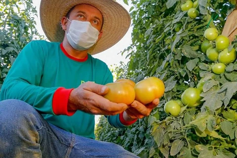Cesta básica fica 15% mais cara em um ano, aponta pesquisa da UEPG
