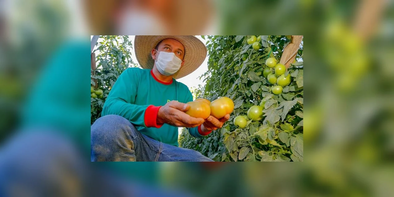 Cesta básica fica 15% mais cara em um ano, aponta pesquisa da UEPG