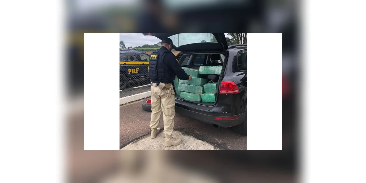 PRF apreende mais de meia tonelada de maconha, em Tibagi