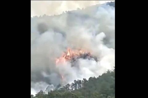 Avião cai na China com mais de 130 pessoas a bordo