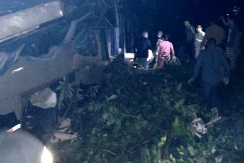 Ônibus com trabalhadores cai em ribanceira e mata 10 pessoas, em Sapopema