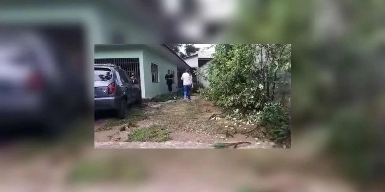 Homem de 60 anos morre ao ter cabeça atingida por galho, em Colombo