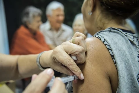 Vacinação contra a gripe começa hoje em todo o país
