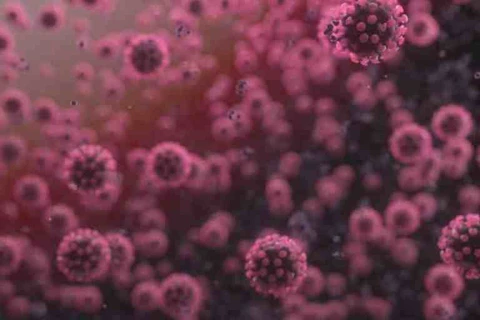 Boletim da Covid-19 registra mais 1.605 casos e 19 óbitos no Paraná