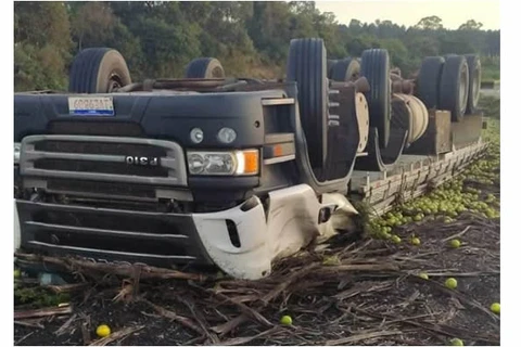 Motorista morre após tombar caminhão na PR-151, em Carambei