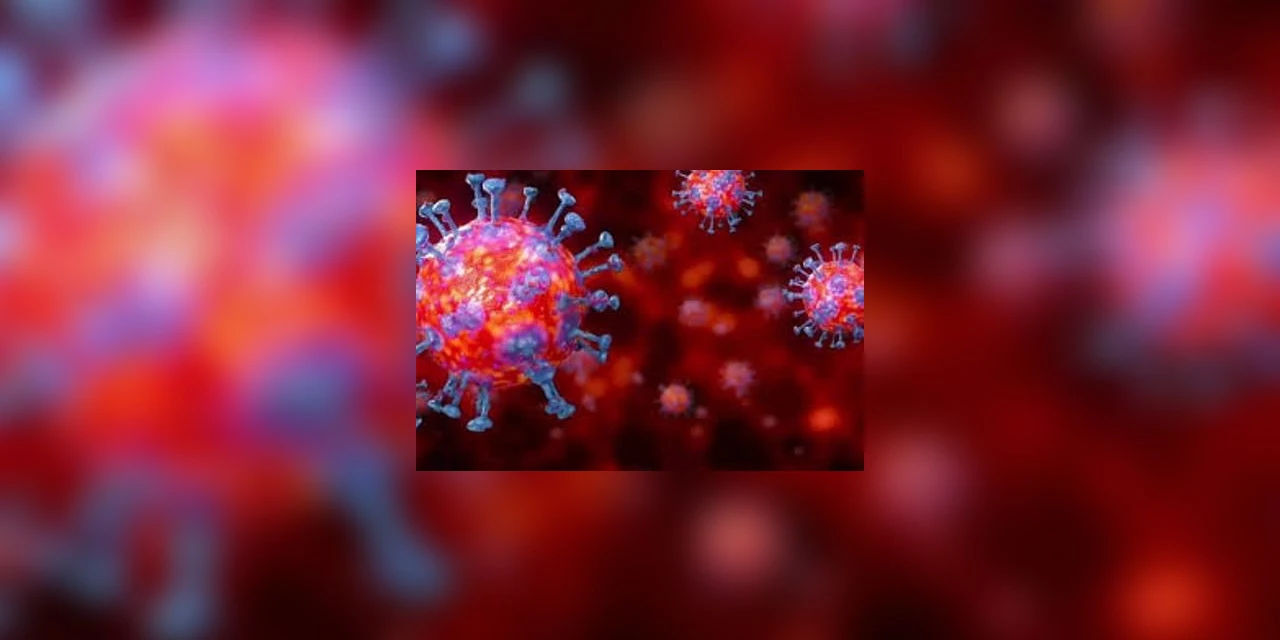 Boletim confirma mais 3.245 casos de Covid-19 e oito óbitos no Paraná