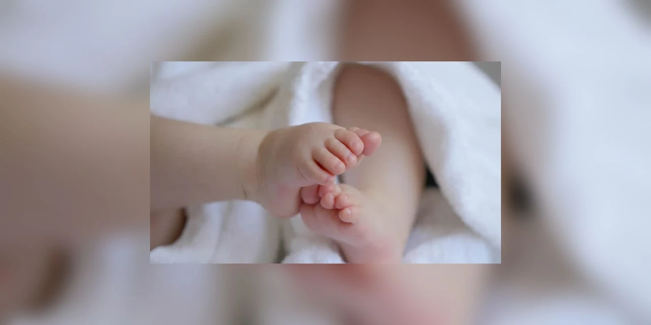 Prefeitura inicia as atividades do Centro de Atendimento da Criança na segunda-feira