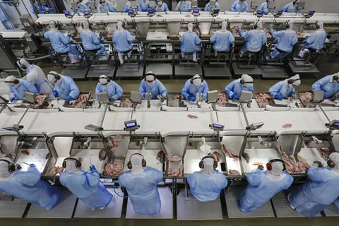 Com queda na taxa de desocupação, Paraná se aproxima de alcançar o pleno emprego