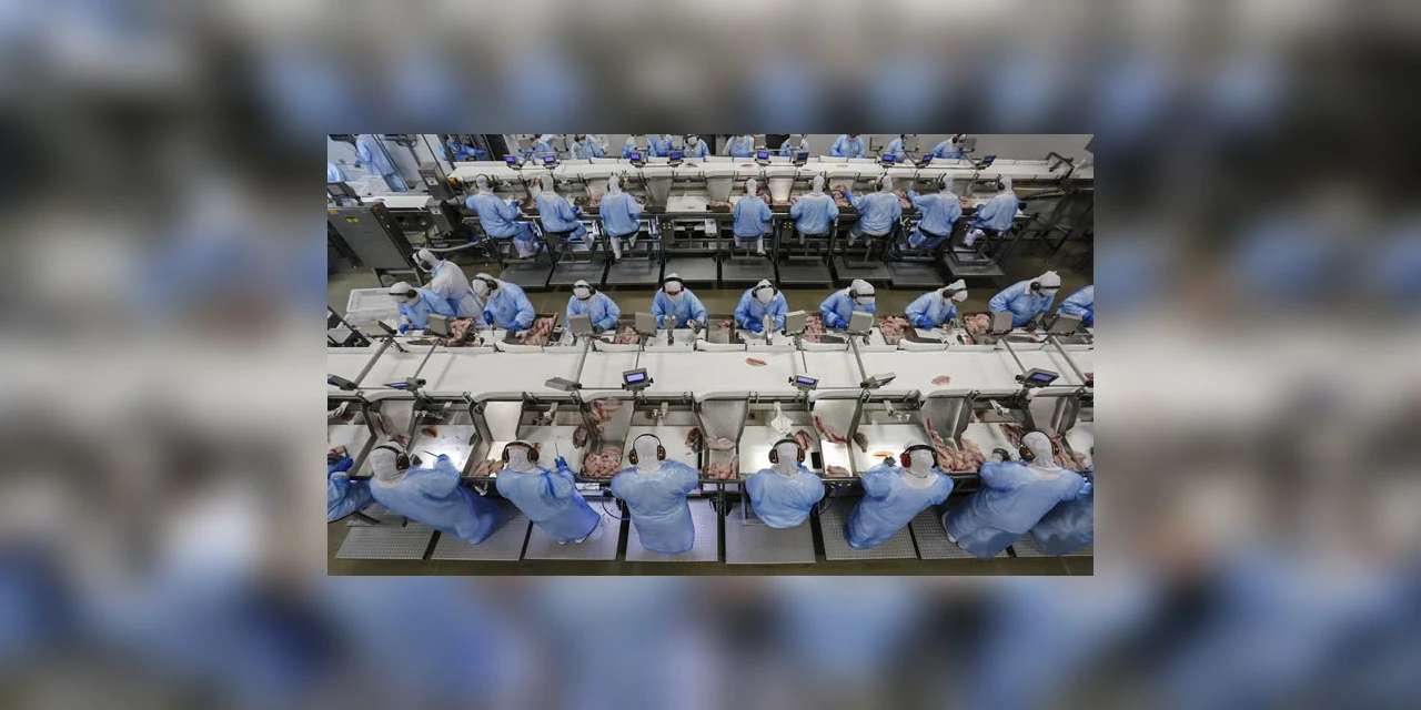 Com queda na taxa de desocupação, Paraná se aproxima de alcançar o pleno emprego