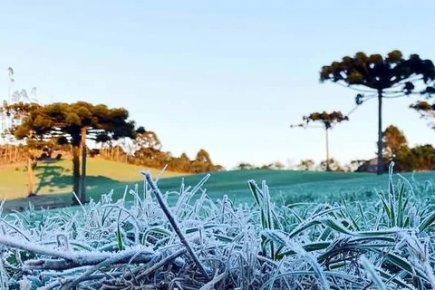 Ponta Grossa deve registrar temperatura de -1˚C nesta terça