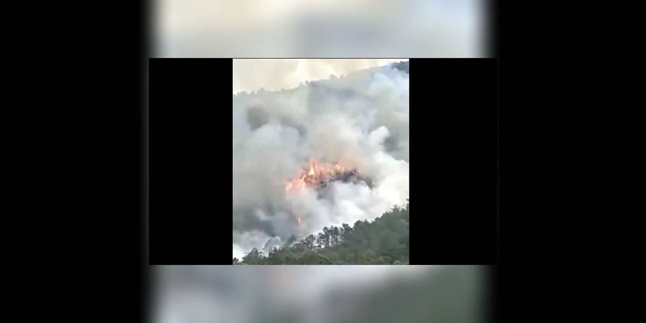 Avião que caiu na China foi derrubado intencionalmente; aponta investigação