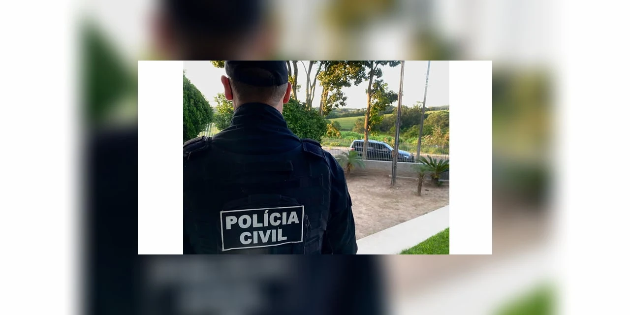 Polícia Civil de Ponta Grossa prende em flagrante homem que aplicava golpes pela internet
