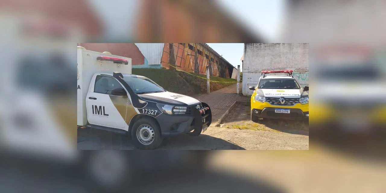 Corpo de homem é encontrado com ferimentos na cabeça e perfurações no pescoço, em Palmeira