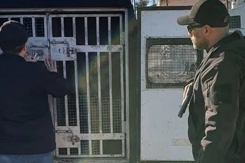 Foragido da justiça acusado de varios furtos é preso em Castro