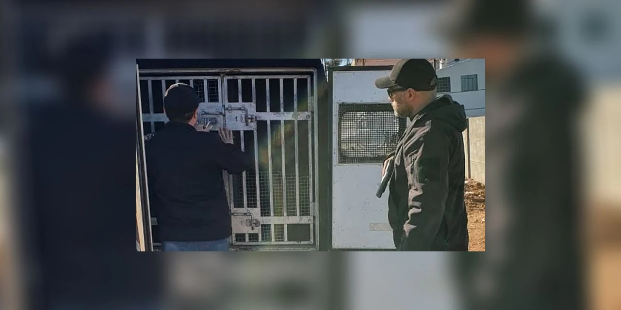 Foragido da justiça acusado de varios furtos é preso em Castro