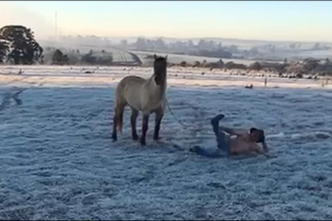 Ponta-grossense ignora geada e faz vídeo sem camisa; assista!