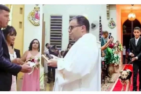 Padre encerra cerimonia de casamento após ver cães entrando na igreja com alianças