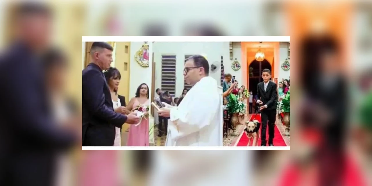 Padre encerra cerimonia de casamento após ver cães entrando na igreja com alianças