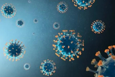 Estado registra mais 3.420 casos e 17 óbitos pela Covid-19