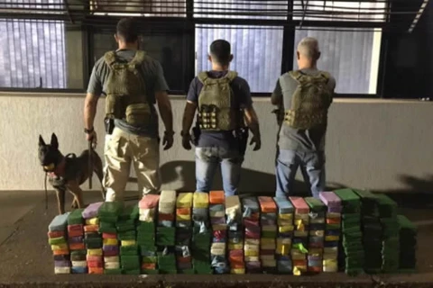 Com ajuda de cão farejador, PF encontra mais de 200 kg de cocaína no Paraná