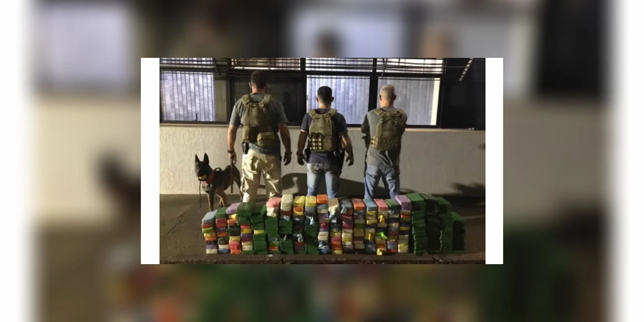 Com ajuda de cão farejador, PF encontra mais de 200 kg de cocaína no Paraná