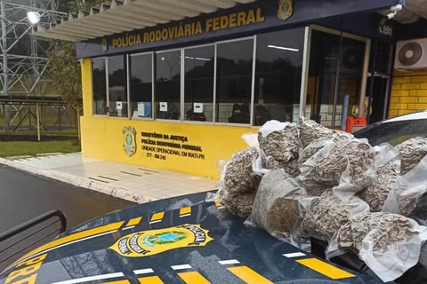 Menina que levava drogas para o RJ é apreendida pela PRF em Irati