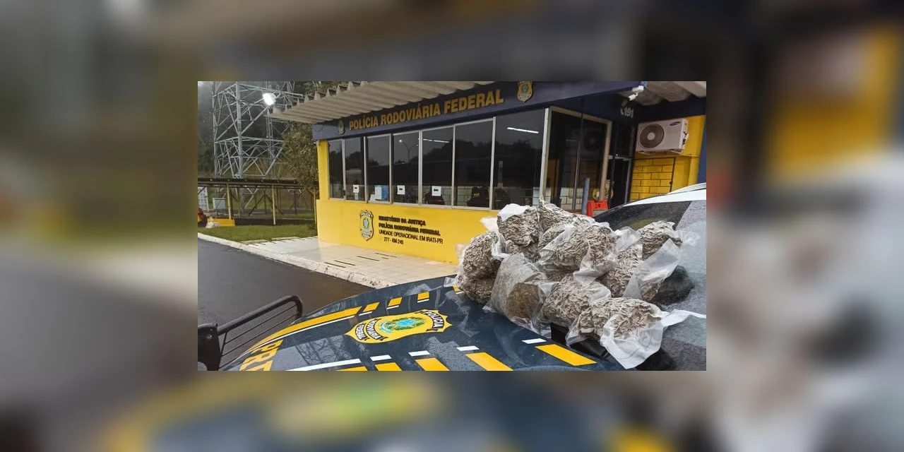 Menina que levava drogas para o RJ é apreendida pela PRF em Irati
