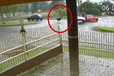 Motociclista voa após colidir em automóvel no Paraná; veja o video!