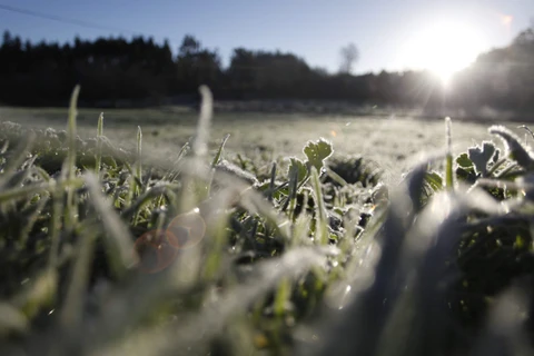 Ponta Grossa registra temperatura de -1°C na madrugada mais fria do ano